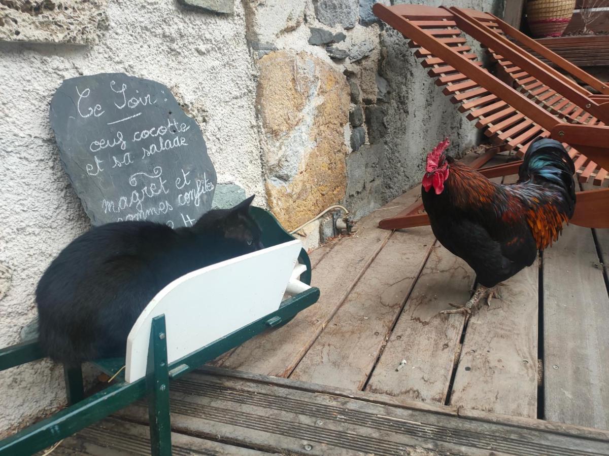 Chambres D'Hotes Les Chatougoulis Les Bordes-sur-Lez Екстер'єр фото