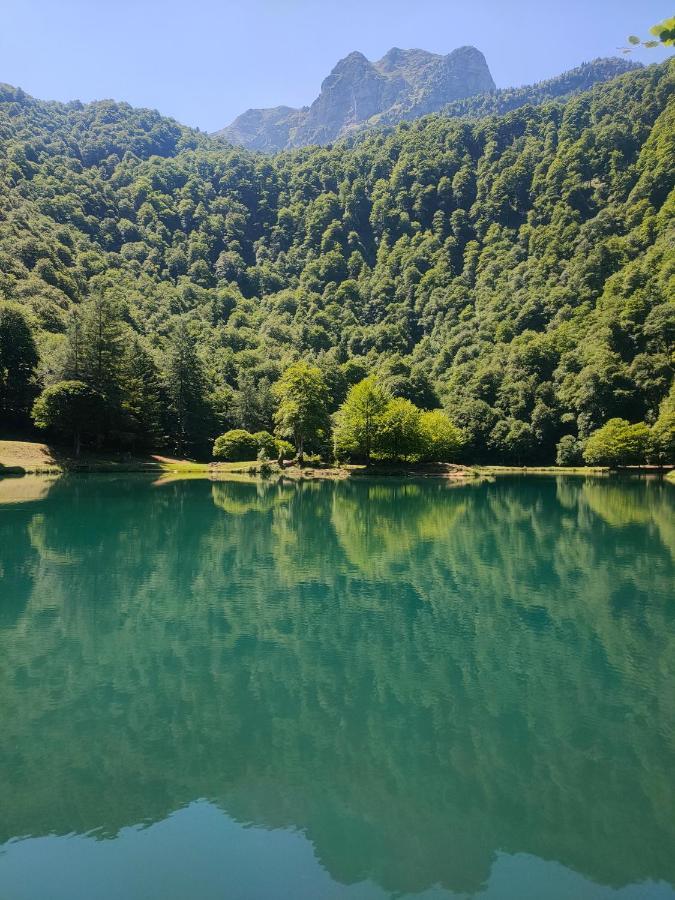 Chambres D'Hotes Les Chatougoulis Les Bordes-sur-Lez Екстер'єр фото